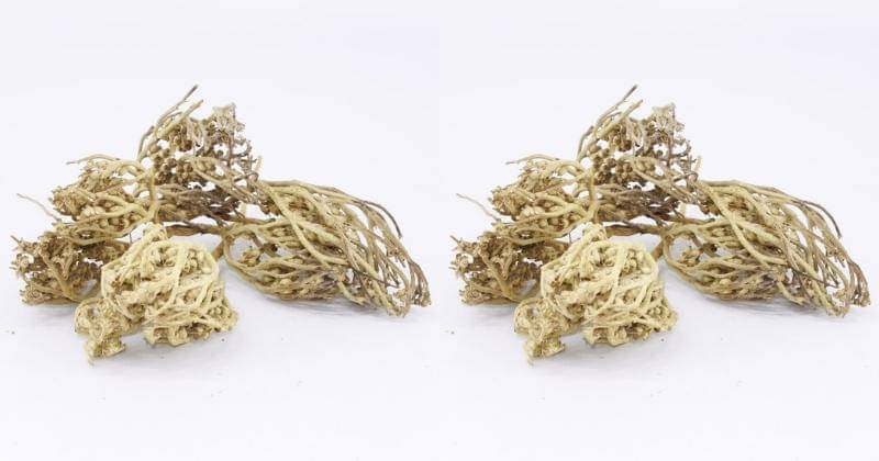 Shopee.com/agtavanystr